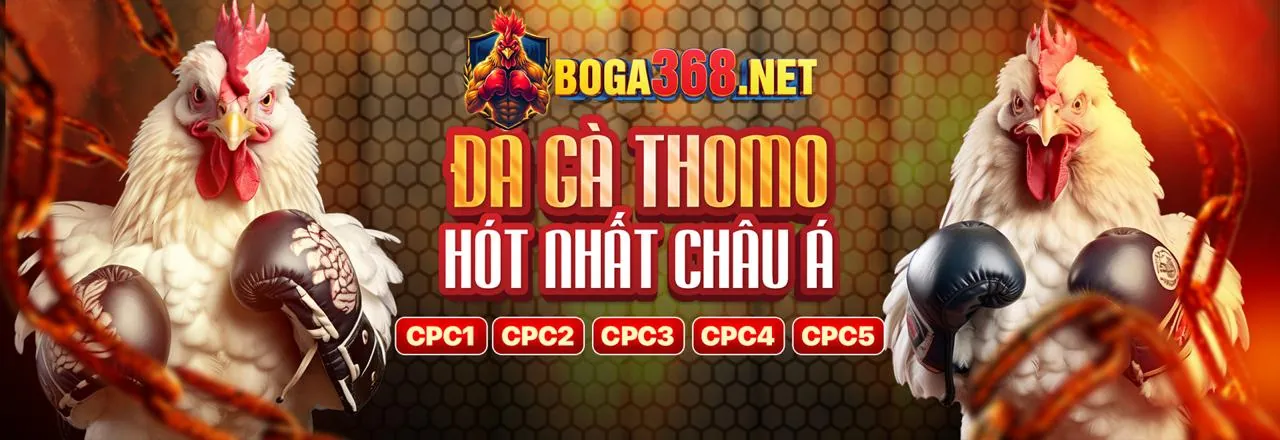 Cá cược quần vợt p88 đăng nhập